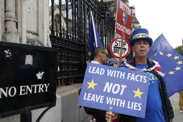A pro-Remain protester makes a point outside the Houses of Parliament (Picture: Alastair Grant/AP)