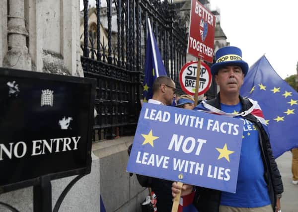 A pro-Remain protester makes a point outside the Houses of Parliament (Picture: Alastair Grant/AP)