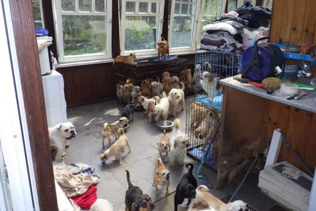 Breeder Lynn Stoker, 63, was found with more than 100 animals living in grubby conditions. RSPCA/PA Wire