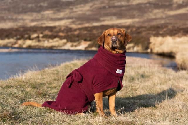 Dogrobes produces jackets designed to help dogs dry more quickly. Picture: Contributed