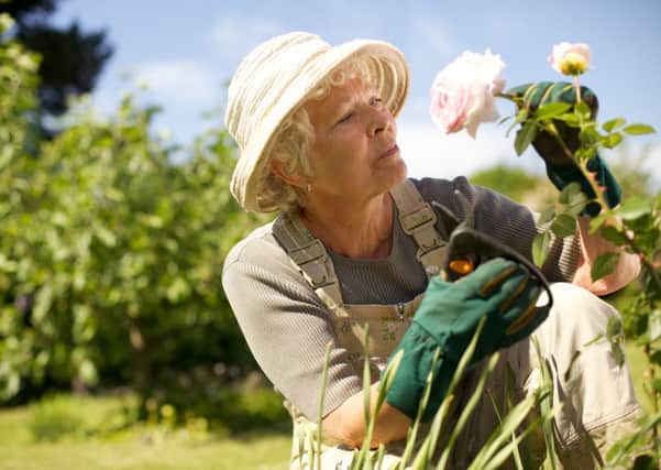 A woman checks the flowers in her garden