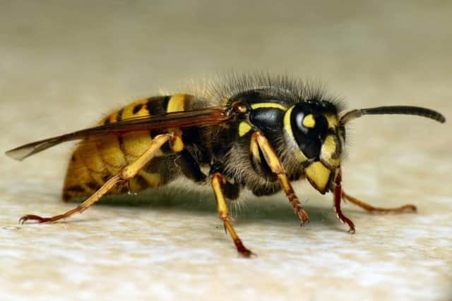 New climate conditions could allow pests to increase in numbers and new diseases to spread, threatening the health of people, animals and our eco systems.