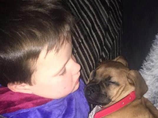 Harris Speirs, aged five, was inseparable from Bull Mastiff pup Casha after 'Santa' gave him the dog for Christmas. Picture: SWNS