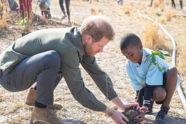 Harry's comments were made during a brief visit to Botswana, and he described how the nation was a refuge for him following the death of his mother Diana, Princess of Wales.