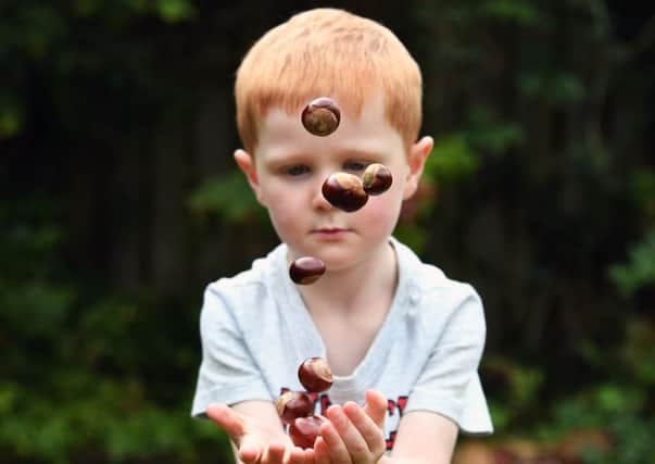 A boy plays with conkers. Picture: John Devlin