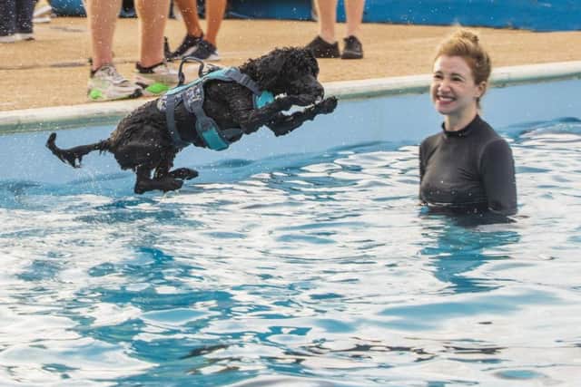 A dog at the swim day. Picture: SWNS