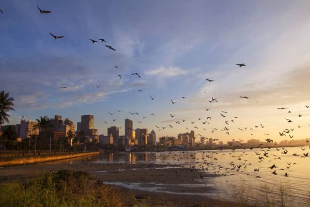 Explore South Africaâs off-the-beaten-track Eastern Cape and KwaZulu-Natal
Travel for SOS
(Jamie)