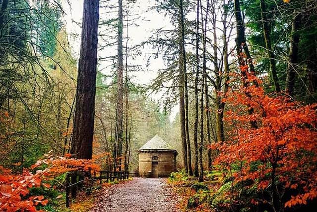 Perthshire is the true queen of the autumn, when her big trees show a pretty riot of colour and warmth.