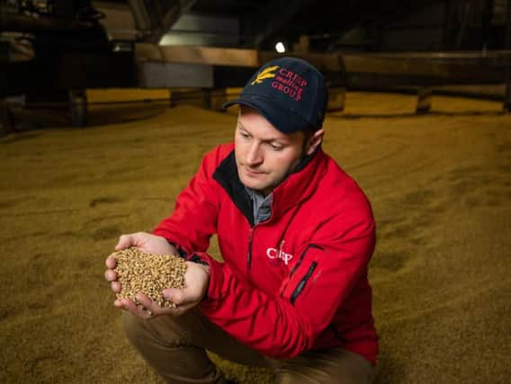 Colin Johnston, craft brewing and distilling sales manager at Crisp Malt. Picture: Simon Price