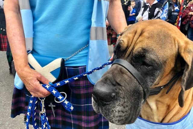 All creatures great and small were welcome at the indy rally. Picture: Lisa Ferguson