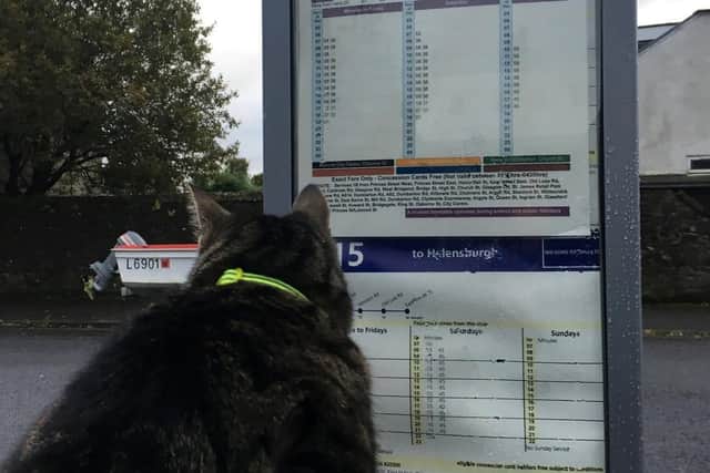 George likes to plan out his journeys in advance. Picture: SWNS