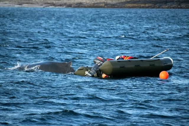 Rescuers with the whale. Picture: SWNS