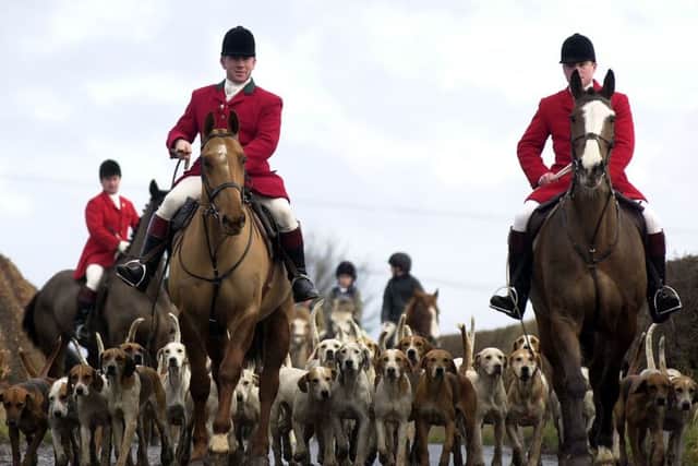 The Scottish Parliament has proved to be 'more nimble' when dealing with controversial issues like fox hunting, says Craig Vickery (Picture: Ian Rutherford)