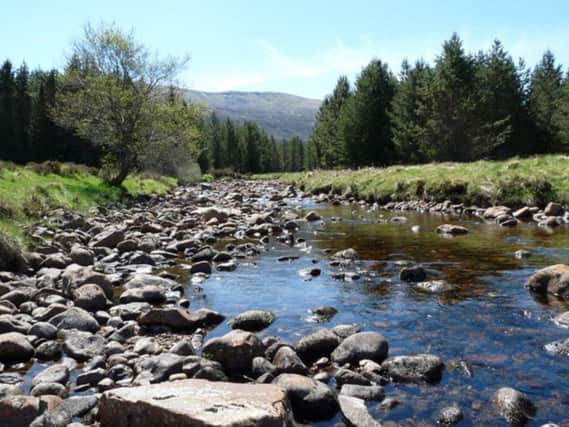 The Narang family want to build the village deep in Glengarry Forest in Lochaber. PIC: www.geograph.org/Claire Pegrum.