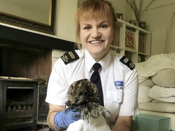 RSPCA officers rescued the owl. Picture: SWNS