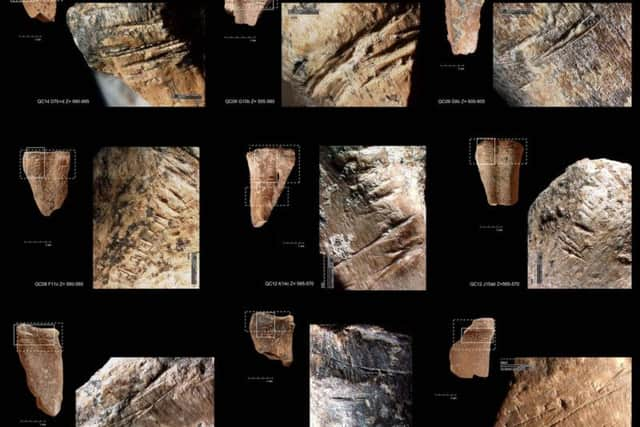 Examples of cut marks linked to disarticulation