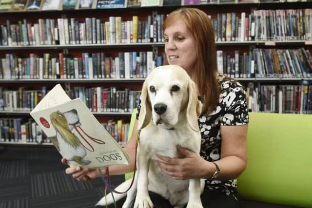 Flora the beagle appears to show no interest in a book (Picture: Greg Macvean)