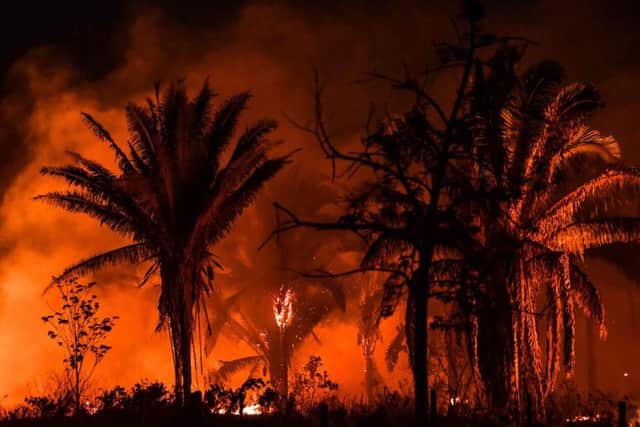 Fires in the Amazon rainforest have sparked international concern (Picture: Nelson Almeida/AFP via Getty Images)