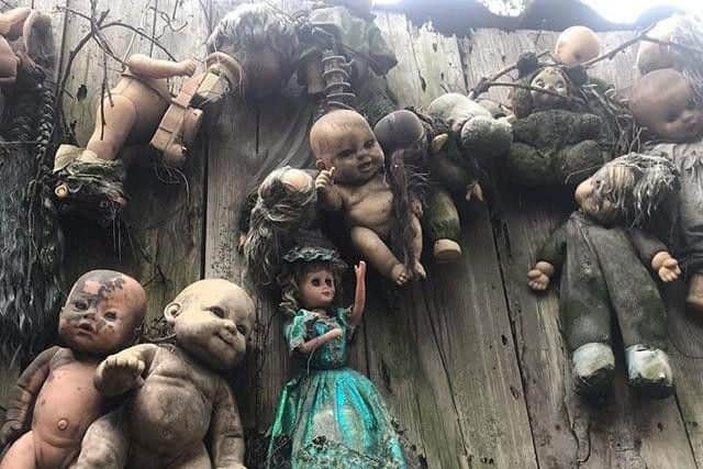 Mexico's 'Island of Dolls' is scattered with hundreds of terrifying mutilated plastic dolls and their severed limbs, decapitated heads and blacked out eyes dangling from branches. Picture: SWNS