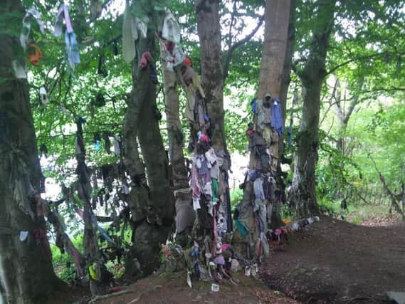 The Clootie Well is believed to hold special powers - but now resembles a 'fly-tipping site' as visitors leave behind bits of junk at the site. PIC: FLS.