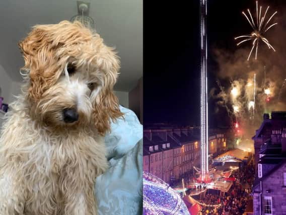 The two programmes are specifically created for pets who may be nervous or anxious around Fireworks Night. Picture: SWNS/ PA