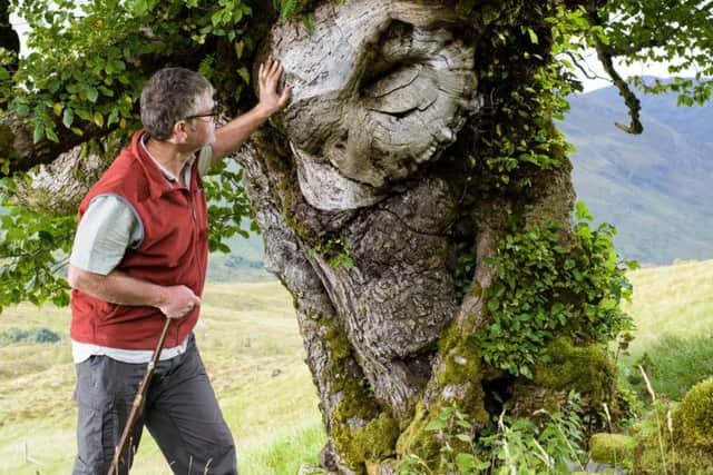 The ancient tree, believed to be more than 300 years old and a remnant of Scotland's native forest, has survived the devastating outbreak of Dutch elm disease due to its secluded location in Glen Affric