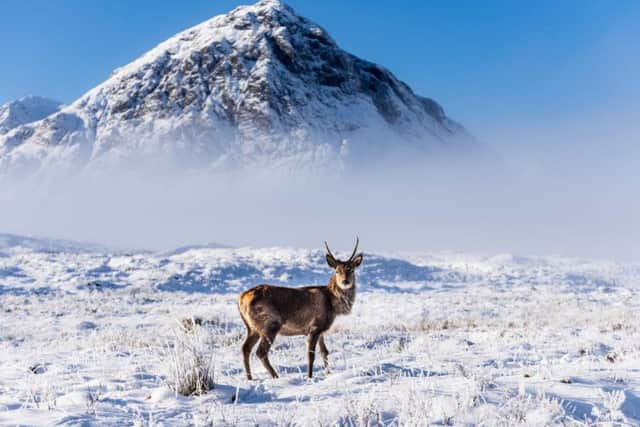 Hill walkers have been told to brace for winter conditions this weekend as fresh snowfall. Picture: VisitScotland