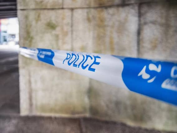 Police have released a description for the alleged rapist
