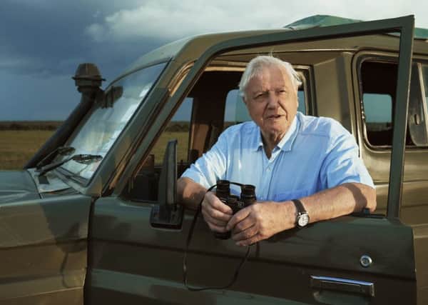 Sir David Attenborough in Seven Worlds, One Planet, a documentary that is the type of programme the BBC should be concentrating on (Picture: BBC)