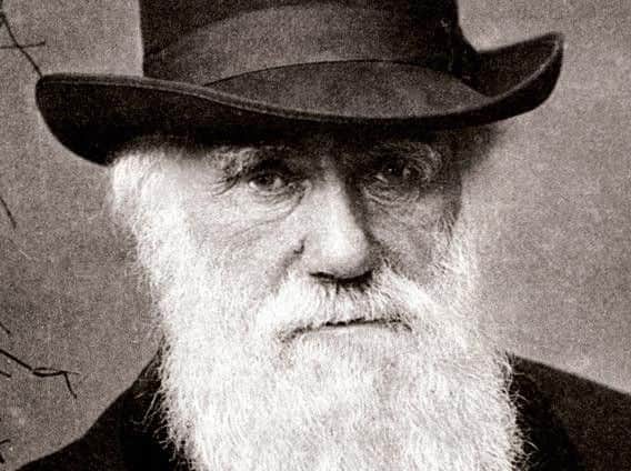 Charles Darwin is widely considered the father of the theory of biological evolution. Photograph:Colin Purrington