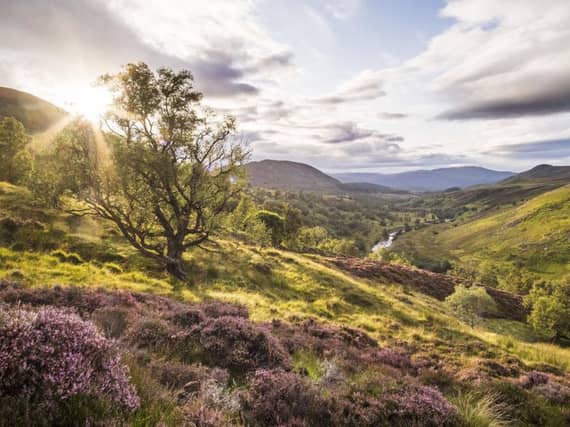 Hundreds of native trees are set to be planted at a living laboratory in the Scottish Highlands next month.