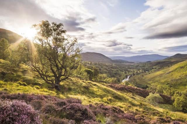 Hundreds of native trees are set to be planted at a living laboratory in the Scottish Highlands next month.