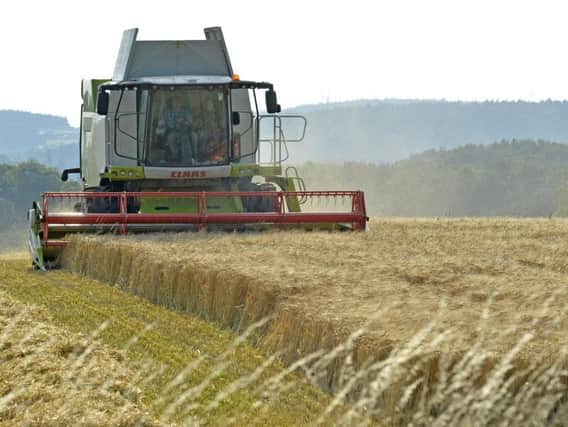 An initial 80 million has been pledged towards active farming, with a focus on those who work in Scotland's marginal uplands, hill farms and island areas. Picture: PA