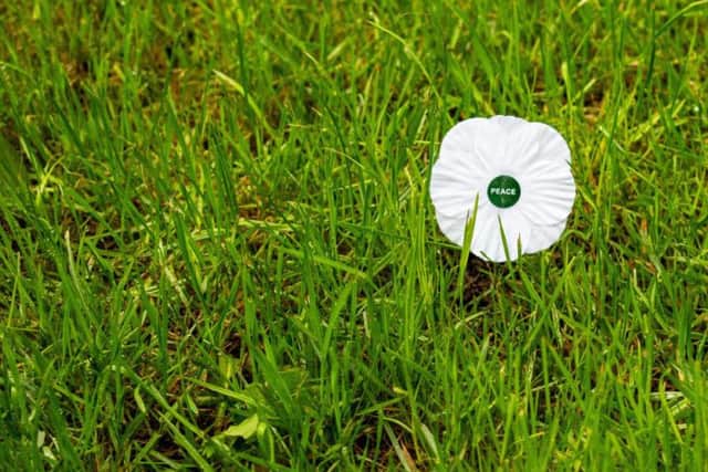 Even the white poppy, designed as a simple of peace, has come under fire in recent times. Picture: Shutterstock