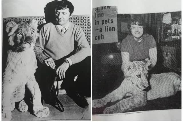 Richard and Meg Houston kept Jason the lion at their Tollcross pet shop for around a year until the Dangerous Wild Animals Act was passed in 1976. Pictures: Submitted