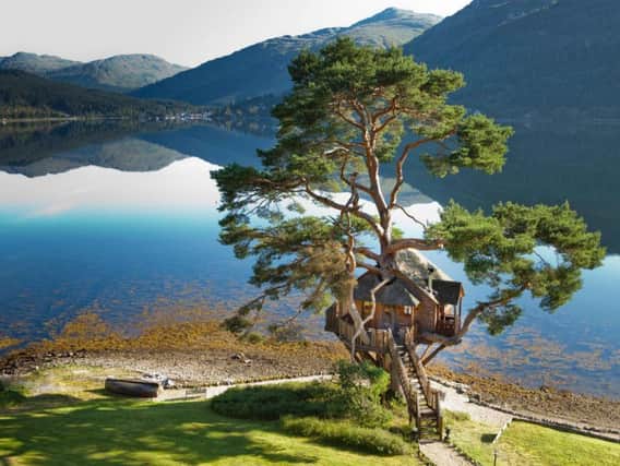 The Lodge on Loch Goil's treehouse turns 15 this month.