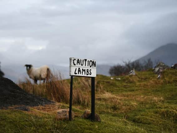 Remote Ulva has a tiny resident population. Picture: John Devlin