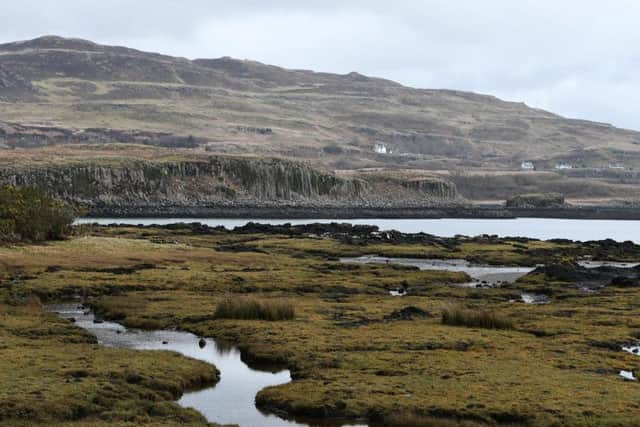 The island until recently had seven residents, but one member of the former owning family was unhappy over the sale and left. Picture: John Devlin