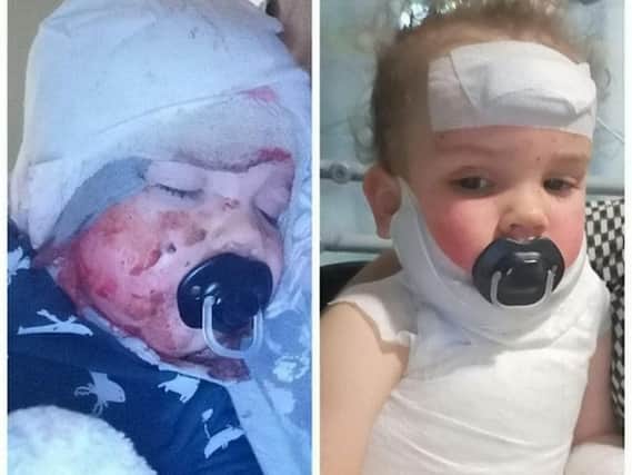 Dougie Dodd, then aged one, got tangled in the wire of mum Nadia Hulse's kitchen appliance. Picture: SWNS