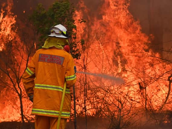 New South Wales state Emergency Services Minister David Elliott said residents were facing what "could be the most dangerous bushfire week this nation has ever seen."
