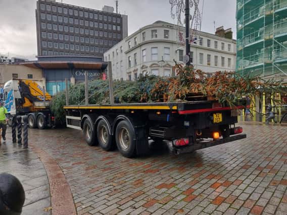 Dundee City Council has replaced the threadbare fir at "no extra cost". Picture: Mike Kemp