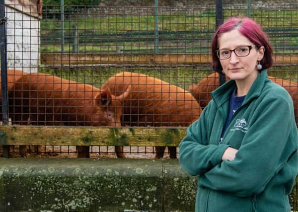 Edinburghs Gorgie City Farm is currently running with just two staff members to feed and take care of the animals. Picture: TSPL