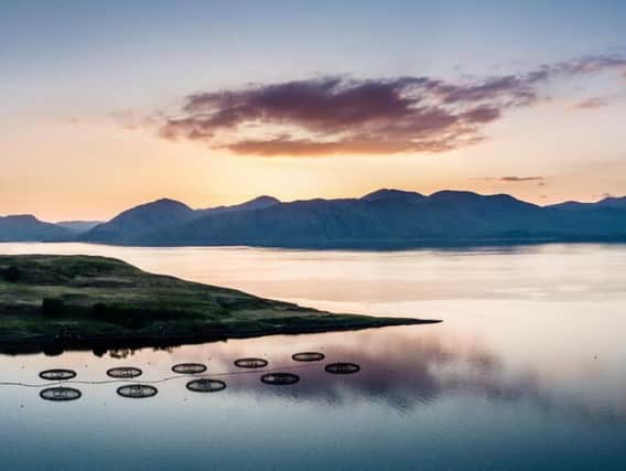 The Scottish Aquaculture Innovation Centre has secured a five-year finance deal. Picture: Lukassek
