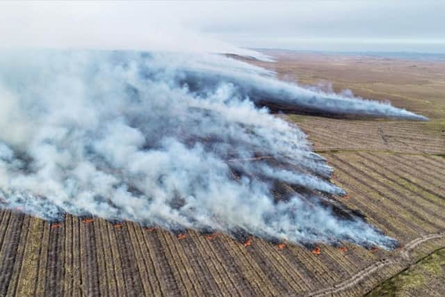 A wildfire burnt for almost six days on part of the Flow Country in the far north of Scotland in May this year. Picture: PA