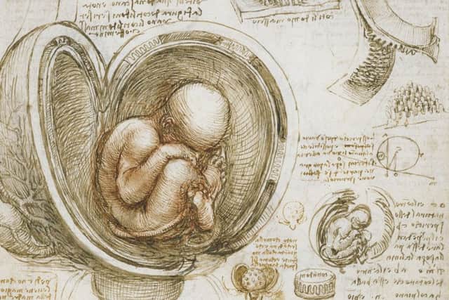 Detail from The Fetus in the Womb, c.1511, by Leonardo da Vinci PIC: Royal Collection Trust / (c) Her Majesty Queen Elizabeth II