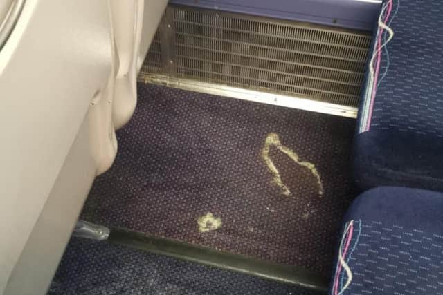 It is claimed mould is growing on the carriage carpet. Picture: Contributed