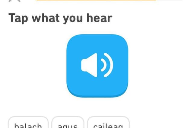 Scottish Gaelic will become available on Duolingo. Picture: Duolingo