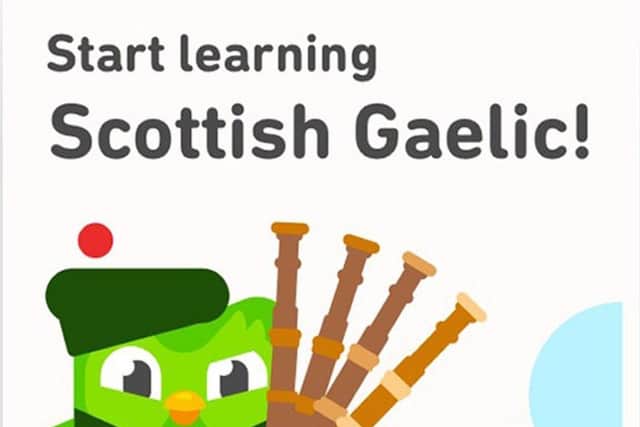 Scottish Gaelic will become available on Duolingo. Picture: Duolingo