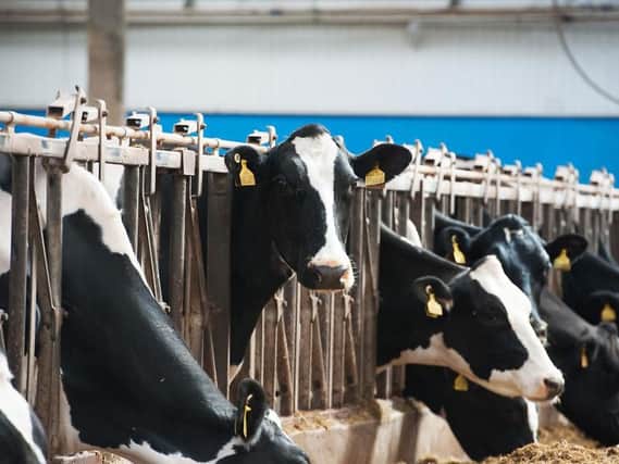 Milk and cream products have been recalled.