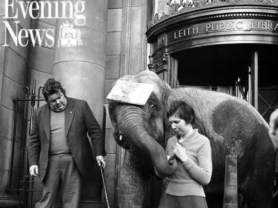 Indras the elephant at Leith Library in January 1976. PIC: TSPL.